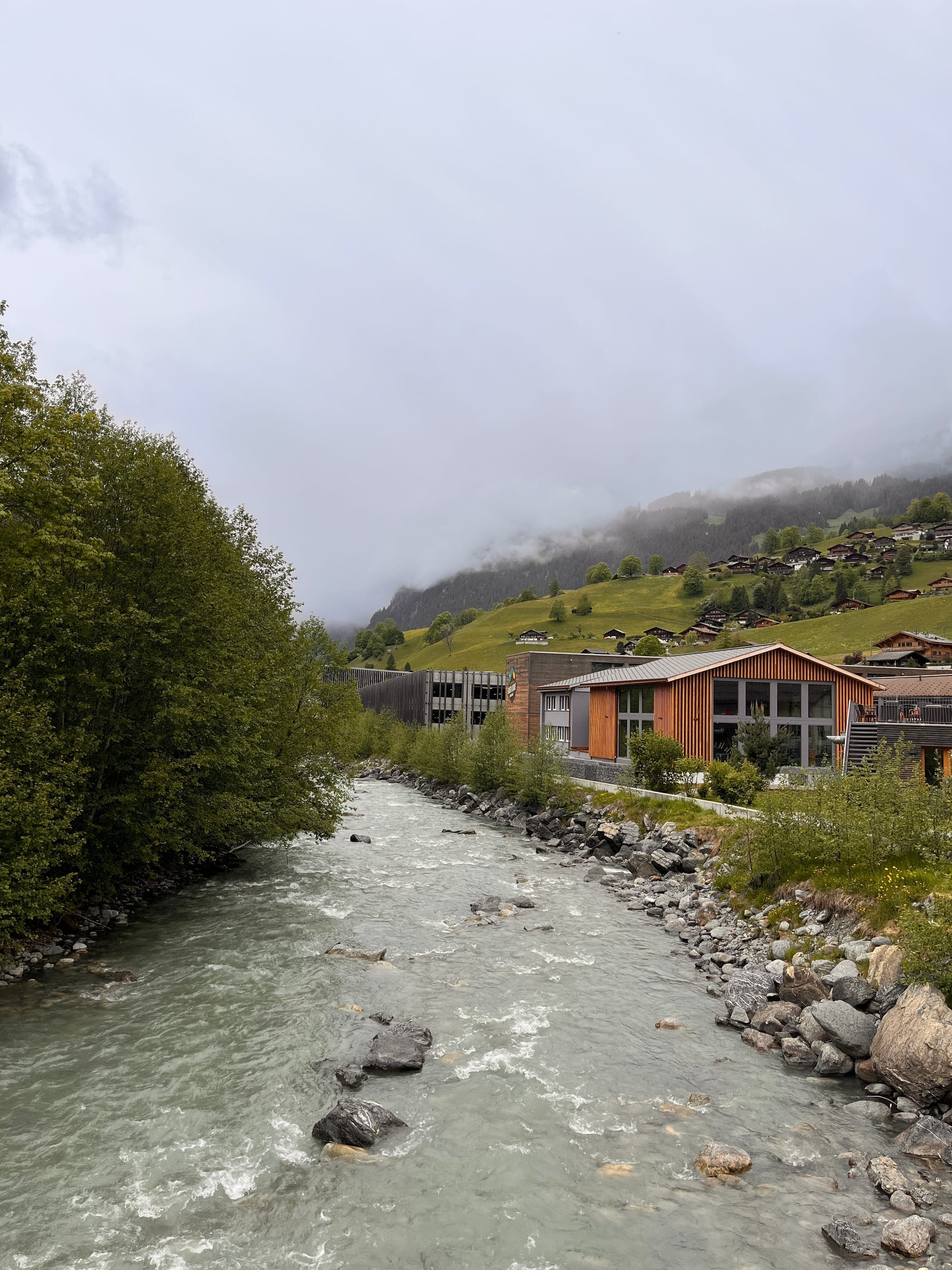 First sight of Grindelwald valley