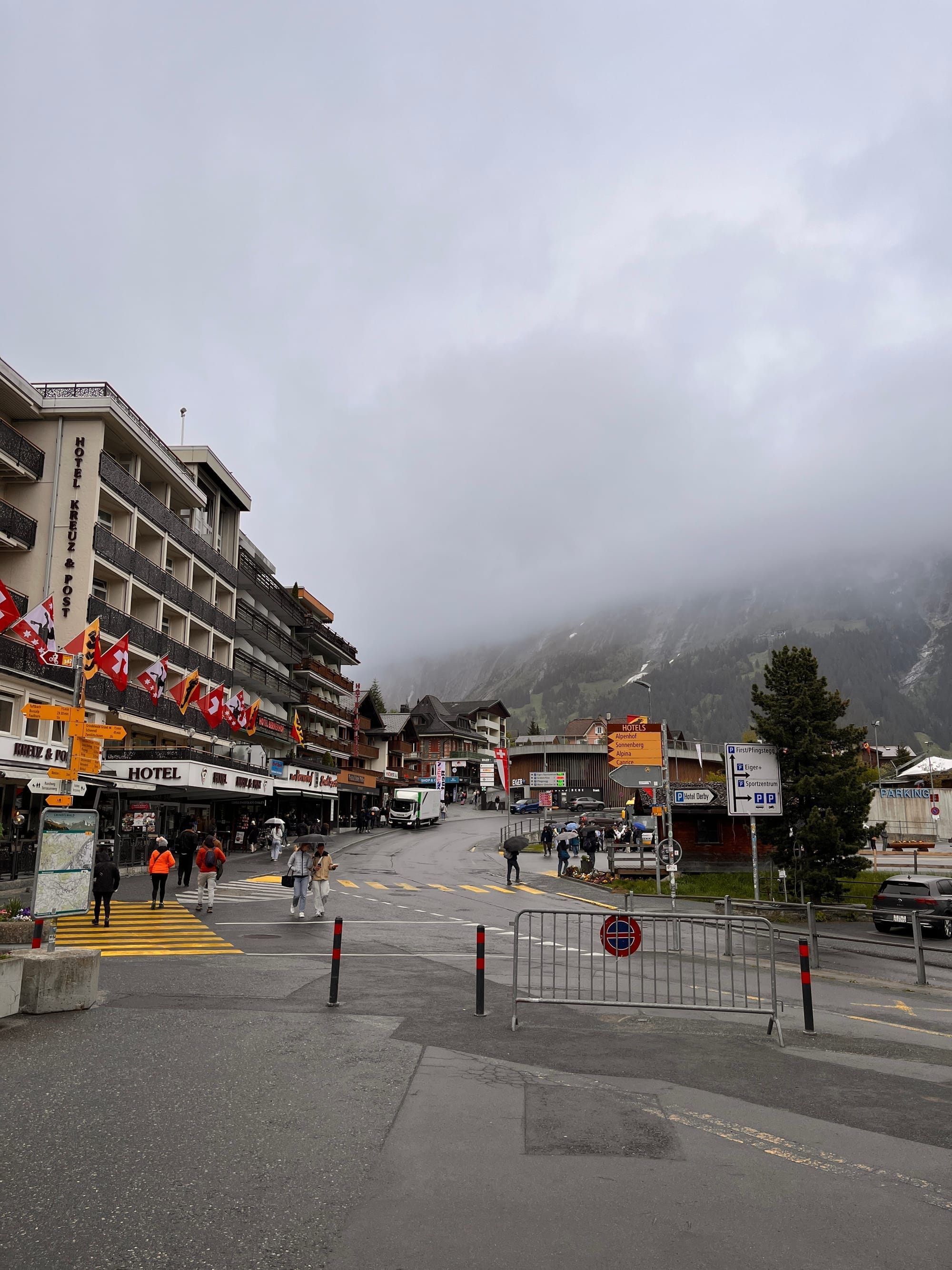 Alpine meadows at Grindelwald
