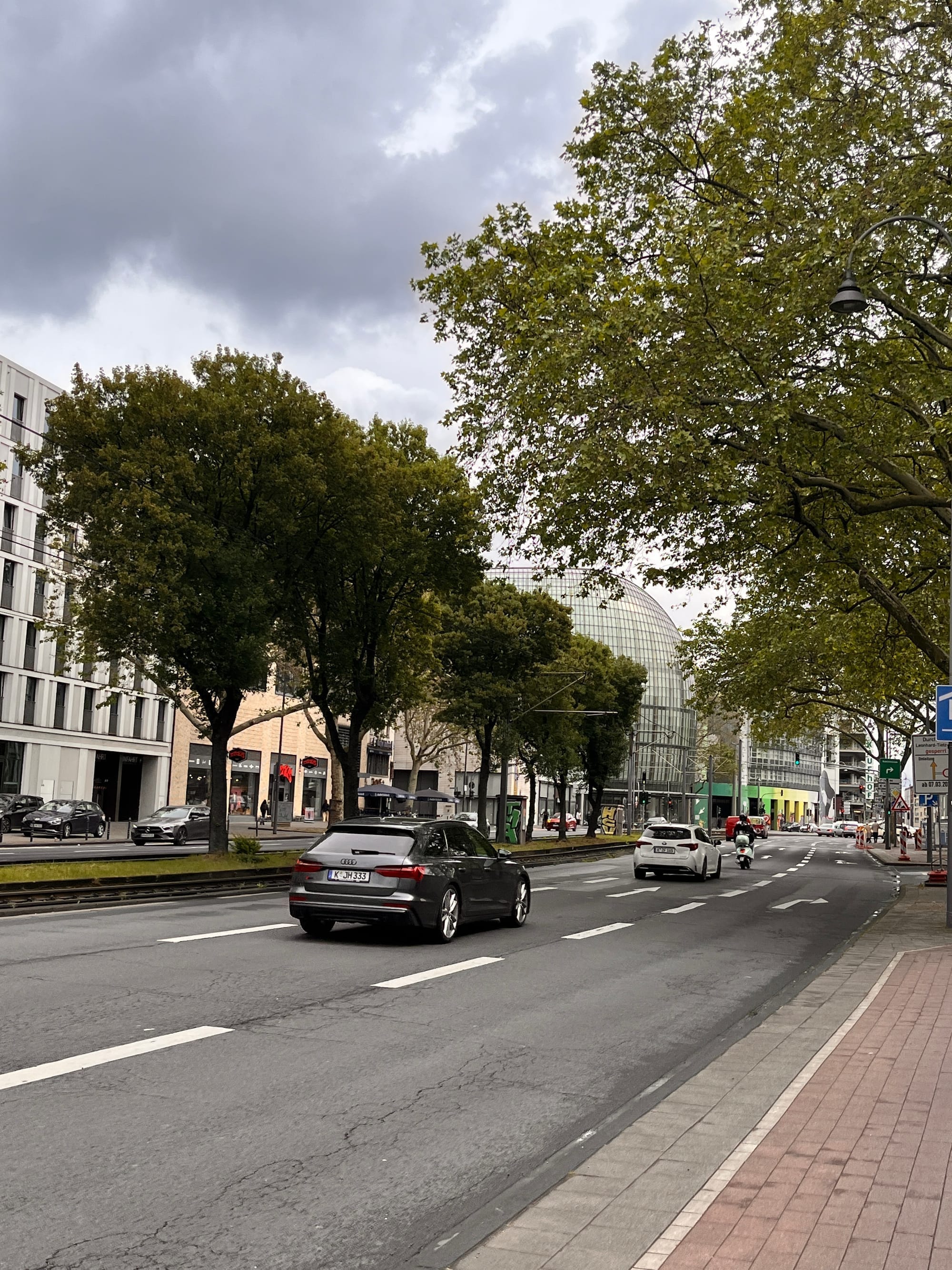 Walking the Rhine